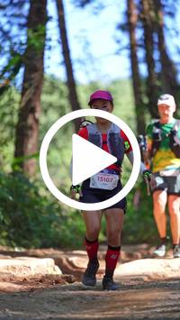 BIB:  <button type="button" onclick="openModal(26787572)" class="btn btn-primary btn-sm float-right" data-toggle="modal" data-target=".modal-high-quality">
                <i class="fa fa-download"></i> Download
                </button>